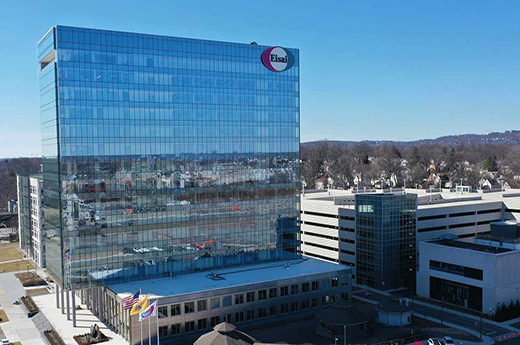 日本卫材制药(Eisai Pharmaceuticals)